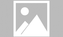 伦理电影 在线视频,在线视频中的伦理电影深度解析